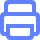 Print Icon